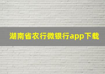 湖南省农行微银行app下载