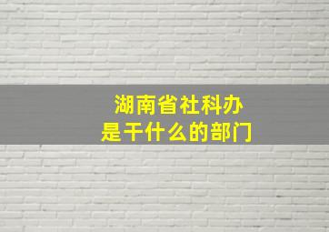 湖南省社科办是干什么的部门