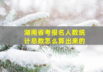 湖南省考报名人数统计总数怎么算出来的