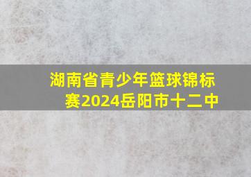 湖南省青少年篮球锦标赛2024岳阳市十二中