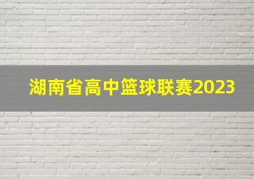 湖南省高中篮球联赛2023