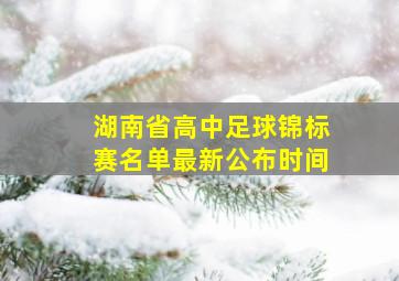 湖南省高中足球锦标赛名单最新公布时间