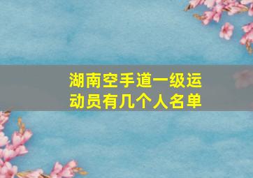 湖南空手道一级运动员有几个人名单