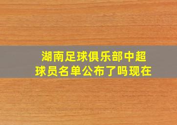 湖南足球俱乐部中超球员名单公布了吗现在