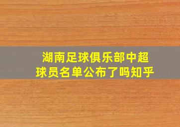 湖南足球俱乐部中超球员名单公布了吗知乎