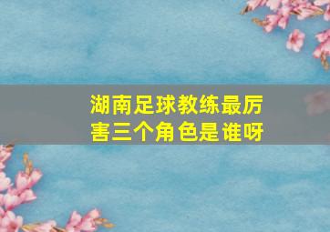 湖南足球教练最厉害三个角色是谁呀