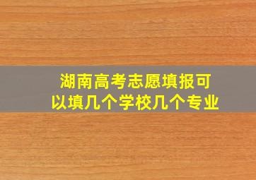 湖南高考志愿填报可以填几个学校几个专业