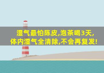 湿气最怕陈皮,泡茶喝3天,体内湿气全清除,不会再复发!