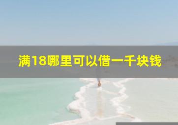 满18哪里可以借一千块钱