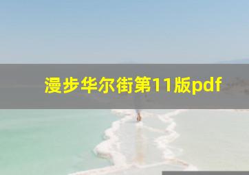 漫步华尔街第11版pdf