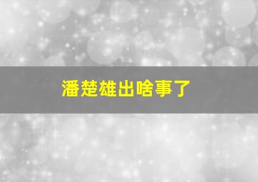 潘楚雄出啥事了