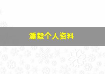 潘毅个人资料