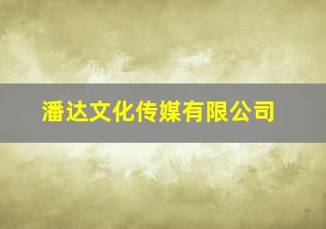 潘达文化传媒有限公司