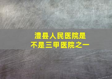 澧县人民医院是不是三甲医院之一