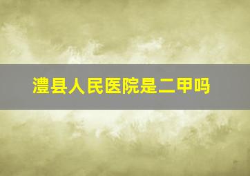 澧县人民医院是二甲吗