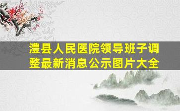 澧县人民医院领导班子调整最新消息公示图片大全