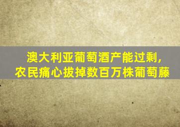 澳大利亚葡萄酒产能过剩,农民痛心拔掉数百万株葡萄藤