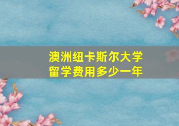 澳洲纽卡斯尔大学留学费用多少一年