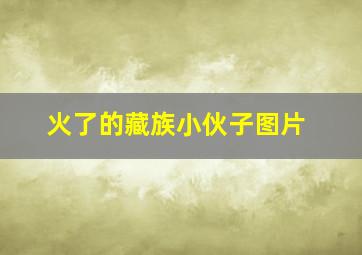 火了的藏族小伙子图片