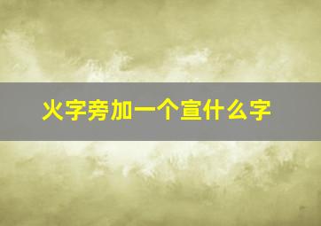 火字旁加一个宣什么字