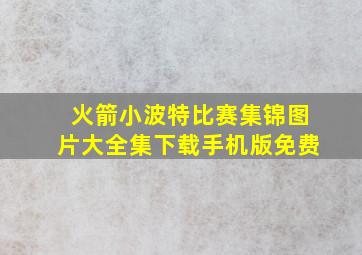 火箭小波特比赛集锦图片大全集下载手机版免费