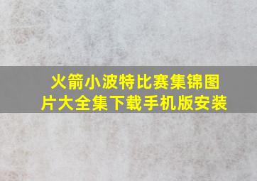 火箭小波特比赛集锦图片大全集下载手机版安装