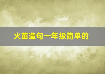 火苗造句一年级简单的