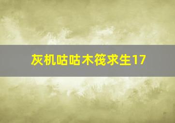 灰机咕咕木筏求生17