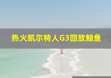 热火凯尔特人G3回放鲸鱼