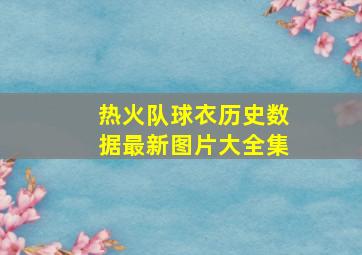 热火队球衣历史数据最新图片大全集