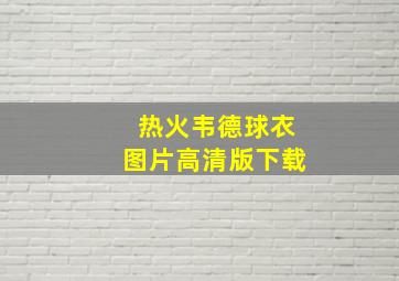 热火韦德球衣图片高清版下载