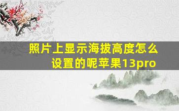 照片上显示海拔高度怎么设置的呢苹果13pro