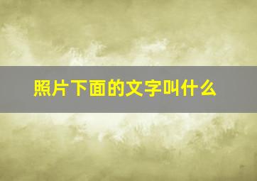 照片下面的文字叫什么