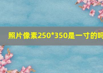 照片像素250*350是一寸的吗