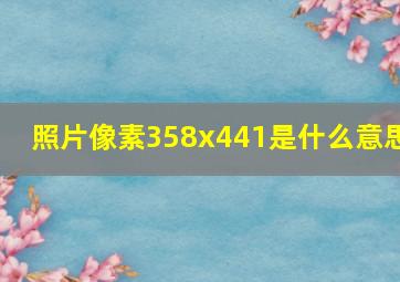 照片像素358x441是什么意思