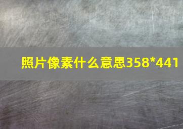 照片像素什么意思358*441