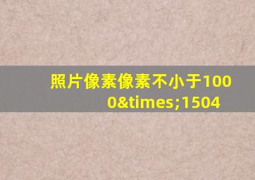 照片像素像素不小于1000×1504