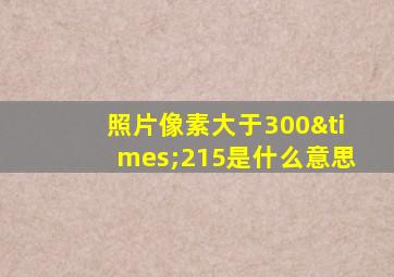 照片像素大于300×215是什么意思