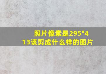 照片像素是295*413该剪成什么样的图片