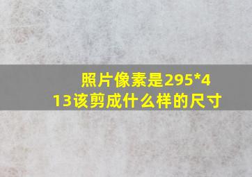 照片像素是295*413该剪成什么样的尺寸