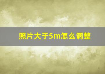 照片大于5m怎么调整