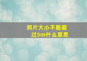 照片大小不能超过5m什么意思