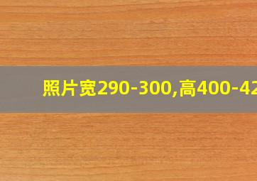 照片宽290-300,高400-420