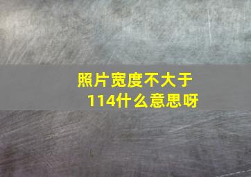 照片宽度不大于114什么意思呀