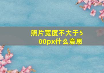 照片宽度不大于500px什么意思