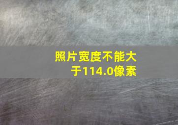 照片宽度不能大于114.0像素