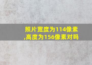 照片宽度为114像素,高度为156像素对吗