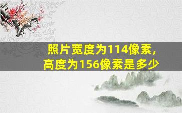 照片宽度为114像素,高度为156像素是多少