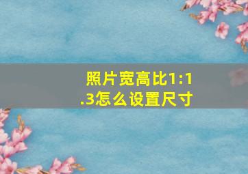 照片宽高比1:1.3怎么设置尺寸