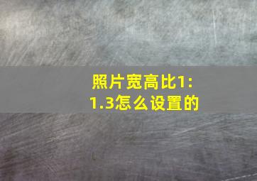 照片宽高比1:1.3怎么设置的